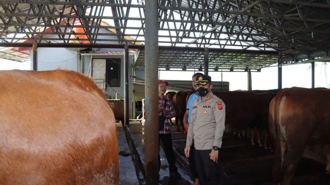 Satu Peternakan Sapi di Cianjur Dilockdown