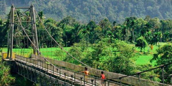 Dana Desa Sudah Cair Rp468 Triliun, Dorong Kesejahteraan