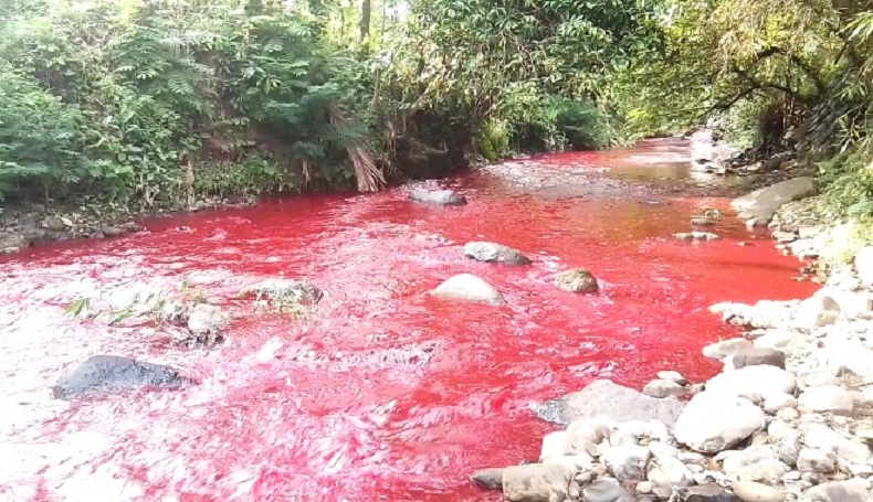 DLH KBB Belum Terima Laporan Ikan Mati di Sungai Cimeta