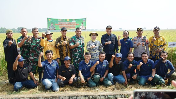 Bupati Serang Puji Panen Raya di Desa Laban