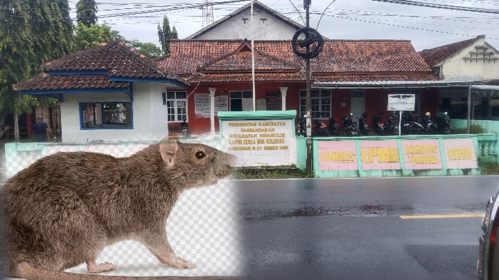 Masyarakat Kecewa BLT DD Tahun 2022 Tidak Di Salurkan 