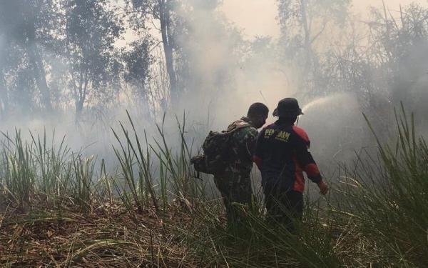 Mendagri Instruksikan Kepala Daerah, Antisipasi Karhutla Dampak El Nino