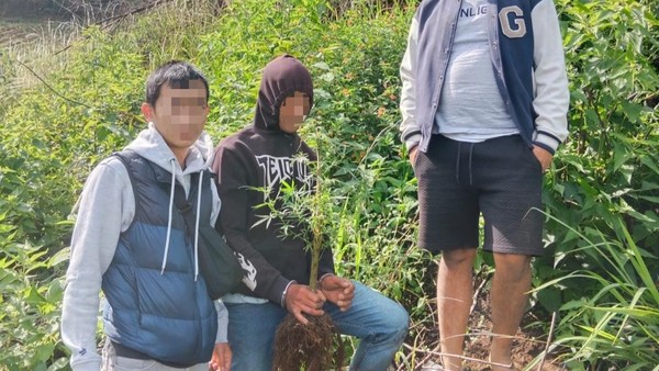 Niat Budidaya Tanaman, Dua Pria Garut Diringkus Polisi