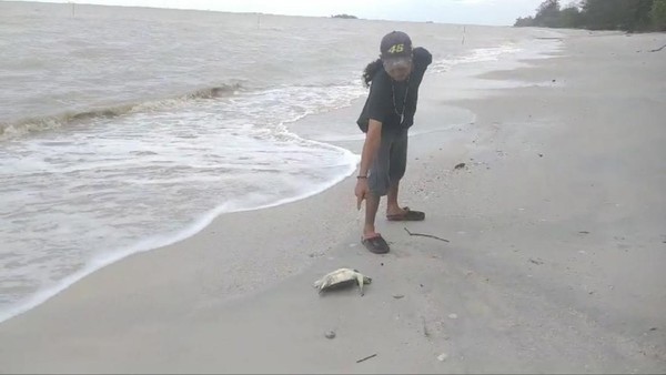 Nelayan di Bangka Selatan Keluhkan Limbah