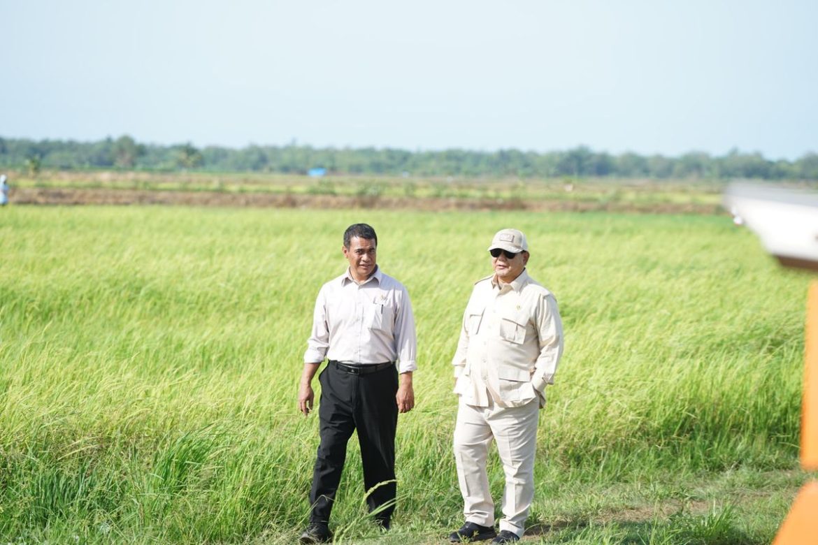 Presiden Prabowo Tinjau Panen Padi di Merauke