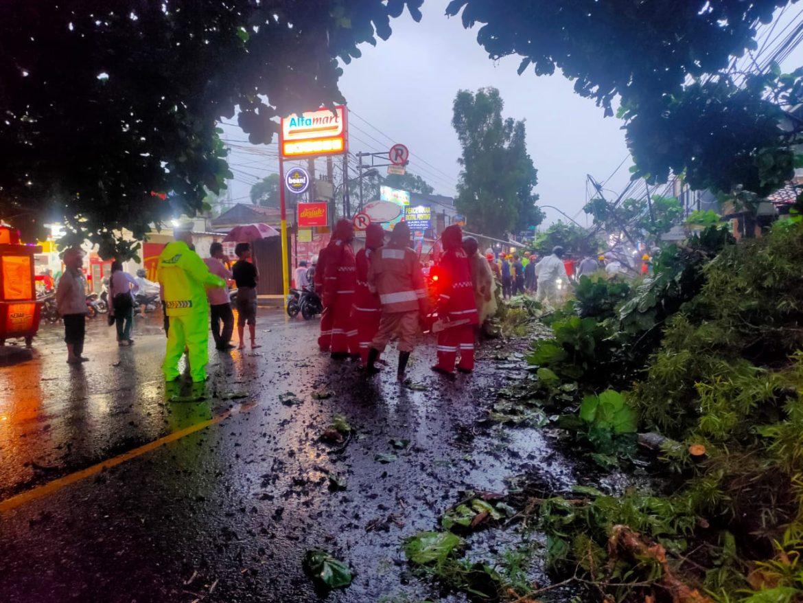 Hujan Angin di Sukabumi Dua Pohon Besar Tumbang Arah Sukaraja