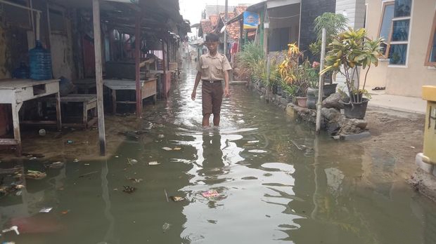 Banjir Rob Hantam Kandanghaur Indramayu