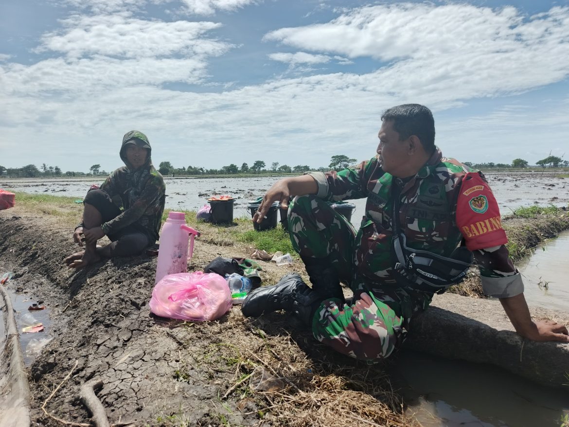 Curhatan Petani, Dukungan TNI dalam Meningkatkan Ketahanan Pangan