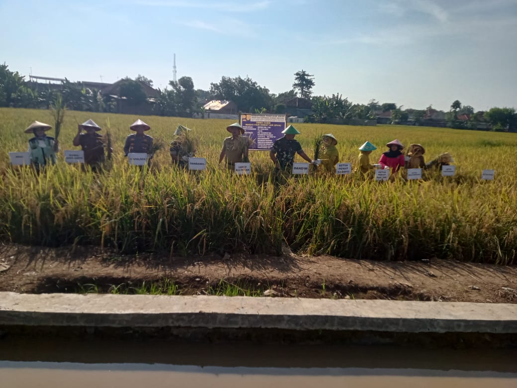 Koramil 1601 Gelar Komsos di Kecamatan Balongan Indramayu