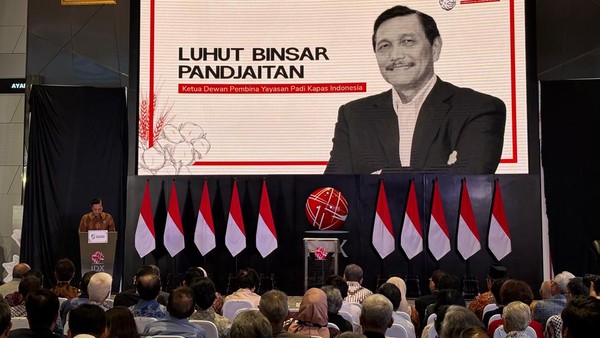 Pesan Luhut untuk Keponakan yang Jadi Bos Danantara